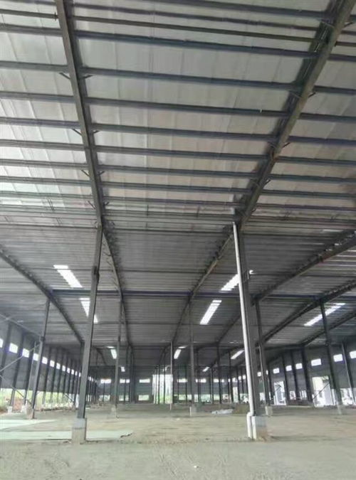 深圳市鋼結(jié)構(gòu)夾層結(jié)構(gòu)安全檢測鑒定單位技術(shù)咨詢今日新聞報(bào)道